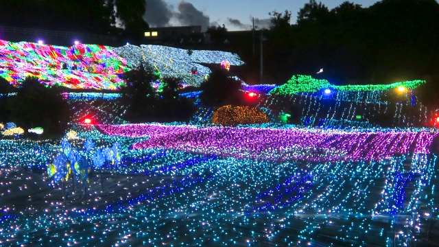 伊豆ぐらんぱる公園