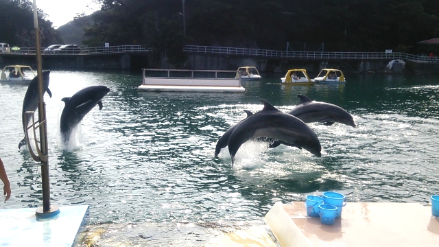 下田海中水族館