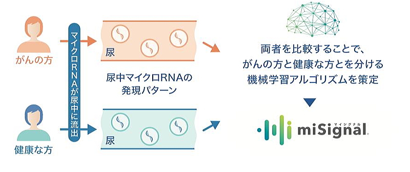miSignal 検査