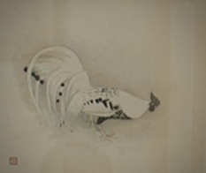 鶏